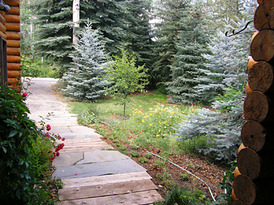 Sun Valley Vacation Home pathway from the front door
